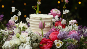 Reclaimed by Nature Torte