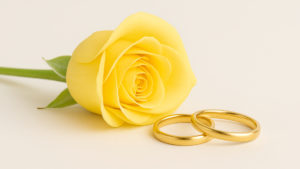 Butter Yellow goldene Eheringe
