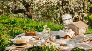 Entspannt heiraten Picknick